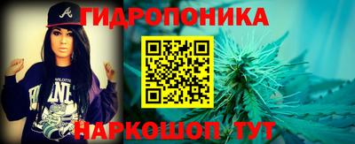 прущие грибы Канаш