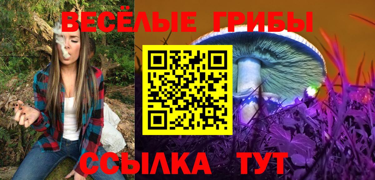 купить закладку  Псилоцибиновые грибы Cubensis  Вход с VPN  Кропоткин 